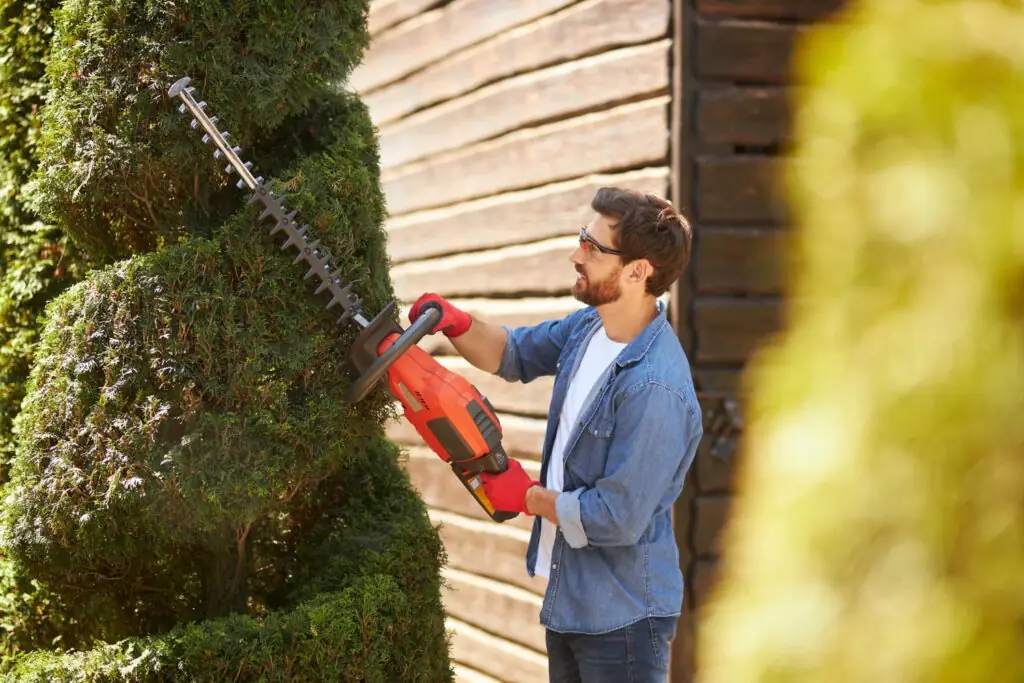 Hedge and tree removal site clearance in Sheffield
